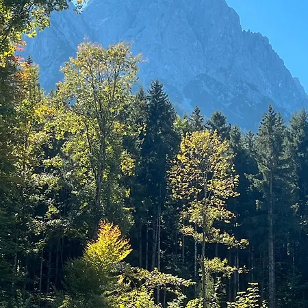 Maria Grasegger شقة *